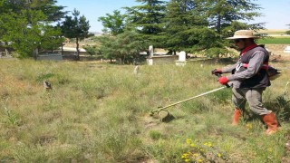 Yarımca köyü yabancı otlardan temizleniyor