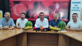 Yaşanan yüzde 65 verim kaybı kiraz, kayısı ve erikte fiyatları etkiledi