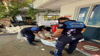 Yatağan Otogarında etiketsiz 60 kilogram et ele geçirildi