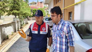 Yerköyde nesli tükenmekte olan bozkır keleri görüldü