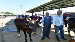 Yeşilyurt Belediyesi 41 noktada kurban satış ve kesim yeri belirledi