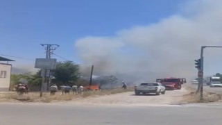 Yeşilyurtta korkutan bahçe yangını