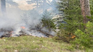 Yıldırım düşmesi sonucu çıkan orman yangını büyümeden söndürüldü