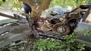 Yoldan çıkan otomobil ağaca çarptı: 1 yaralı