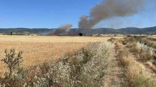 Yozgatta 20 dönüm ekili alan kül oldu