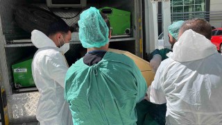Yozgatta 72 yaşındaki E.G., kene nedeniyle hayatını kaybetti