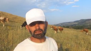 Yozgatta keneler görülmeye devam ediyor
