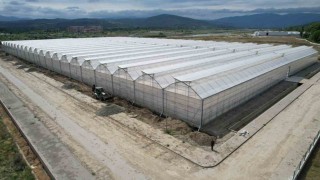Yüksek teknolojiyle topraksız tarım, sıfır atık ve kadın istihdamıyla örnek model oldu