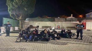 Zeytinlikteki 32 düzensiz göçmen yakalandı