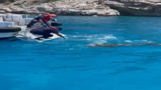 Zıpkınla balık avlamak için denize dalan şahsın cesedi bulundu