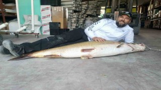 1 buçuk metrelik balık oltaya takıldı