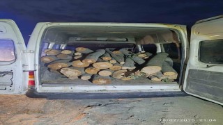 1 ton kaçak orman ürünü ele geçirildi