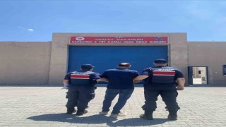 10 yıl hapis cezası ile aranan şahıs jandarma ekiplerince yakalandı