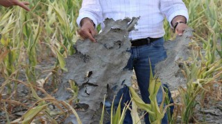 1.6 milyon cezaya çaptırılan Denizli DESKİ günün belli saatlerinde çiftçiye arıtılmamış su vermiş