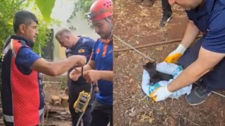 18 Metrelik Kuyuya Düşen Yavru Kedi, İtfaiye Operasyonuyla Kurtarıldı