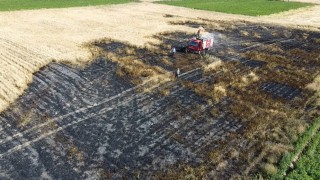 2 dönümlük buğday ekili alan yangında zarar gördü