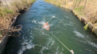 40 derecede sulama kanalında serinlediler