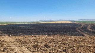 40 dönümlük buğday tarlasında korkutan yangın