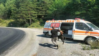 8 metre derinliğindeki rögara düşen köpekler kurtarıldı