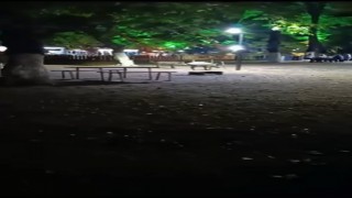 Aç kalan domuzlar, piknik alanında görüntülendi