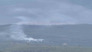 Adana Aladağda orman yangını çıktı