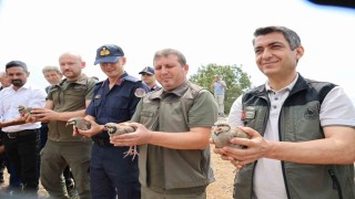 Adanada doğaya 500 keklik salındı