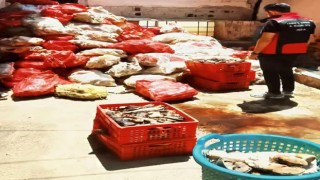 Adana’da Ruhsatsız İşletmede 5 Ton Paça ve Bağırsak Ele Geçirildi