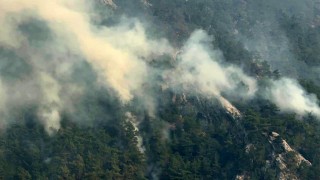 Adanadaki orman yangınlarına 3 tutuklama