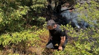 Adapazarında ormanlık alanda yangın çıktı