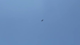 Adıyamanda F16 savaş uçağı nefes kesti