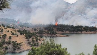 Adıyamanda ormanlık alanda yangın
