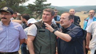 AFAD: Yangınlara karşı mücadele kapsamında 4 bin 231 personel, 45 hava aracı ve bin 236 kara aracı görev yapmaktadır