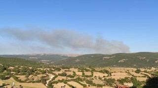 Afyonkarahisarda orman yangını