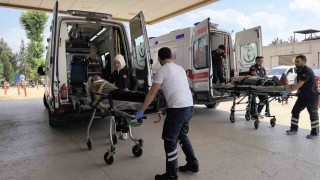 Ağaca çarpan otomobildeki 2 kişi yaralandı