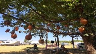 Ağaçlar, çaput yerine çömlekle süslendi