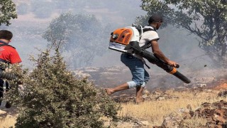 Ağaçlık alanda çıkan yangında çiftçilerin amansız mücadelesi takdir topladı