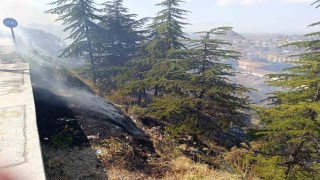 Ağaçlık alandaki yangın paniğe neden oldu