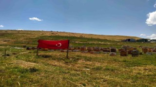 Ağrı ay yıldızlı bayraklarla donatıldı