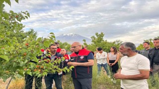 Ağrı Valisi Koç, Doğubayazıtta bir dizi incelemelerde bulundu