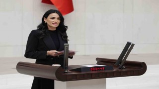 AK Parti Aydın Milletvekili Sarıbaş; Başarıyı gölgeleyemezsiniz, kronik önyargılarınızdan kurtulun