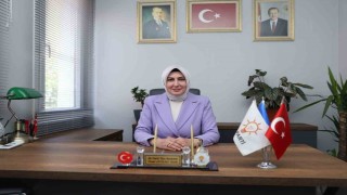 AK Partili Özen: Çeşmeye Karareisten su verilebilir