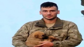 Aksaraya şehit ateşi düştü