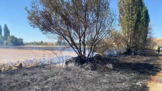 Alacada anız yangını: 5 dönüm arazi zarar gördü
