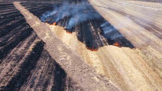 Alacada anız yangını: 70 dönüm arazi kül oldu