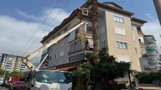 Alanya Belediyesi ve AEDAŞdan yangın riskine karşı önlem