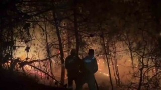 Alev çemberinin içinden geçtiler: Nefes kesen o anlar kamerada