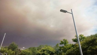 Alevler Bilecike yaklaştı: Belediyeden su tankı bulunan traktör sahiplerine anons