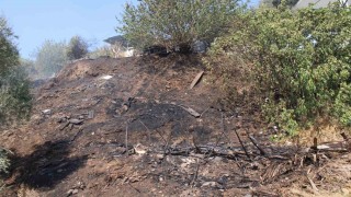 Alevler, evlere ulaşmadan söndürüldü