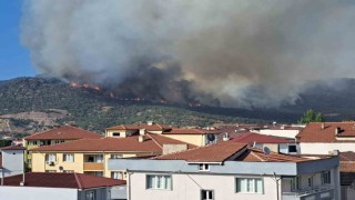 Alevler YHT besleme trafosuna yaklaşınca tedbir alındı