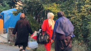 Alevlerden canını zor kurtaran kaplumbağaya yardım eli